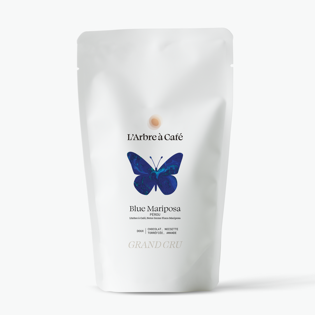 Blue Mariposa