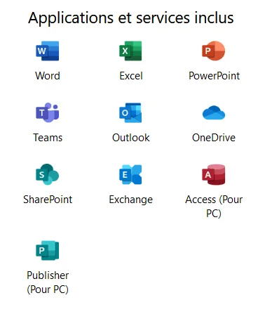 Microsoft Business Standard